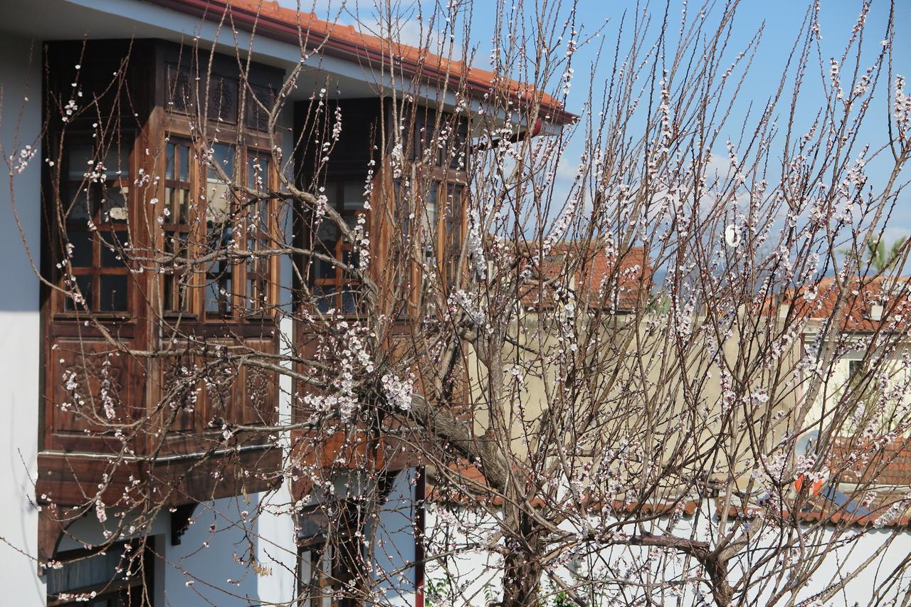 Ephesus Paradise Hotel Selçuk Luaran gambar