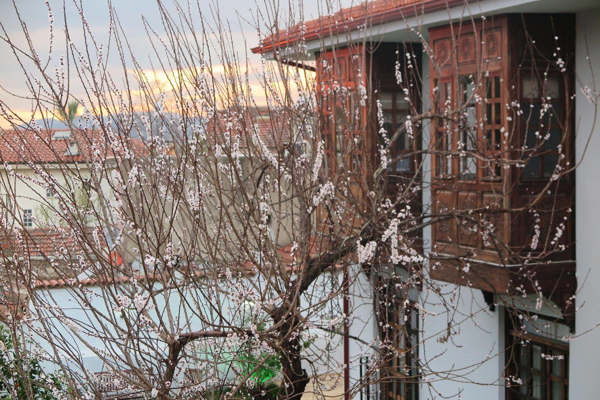Ephesus Paradise Hotel Selçuk Luaran gambar