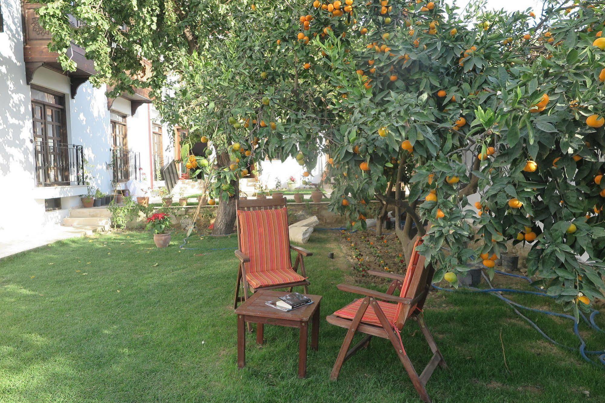Ephesus Paradise Hotel Selçuk Luaran gambar